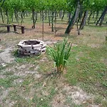 In - Balaton 19622 *