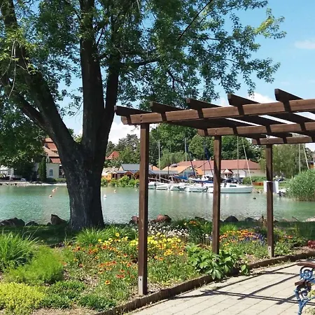 In - Balaton 19622 Révfülöp