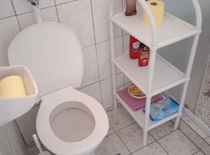 In - Balaton 19622 רבפולופ