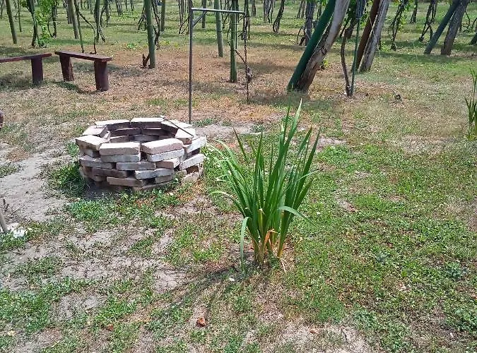 In - Balaton 19622 *